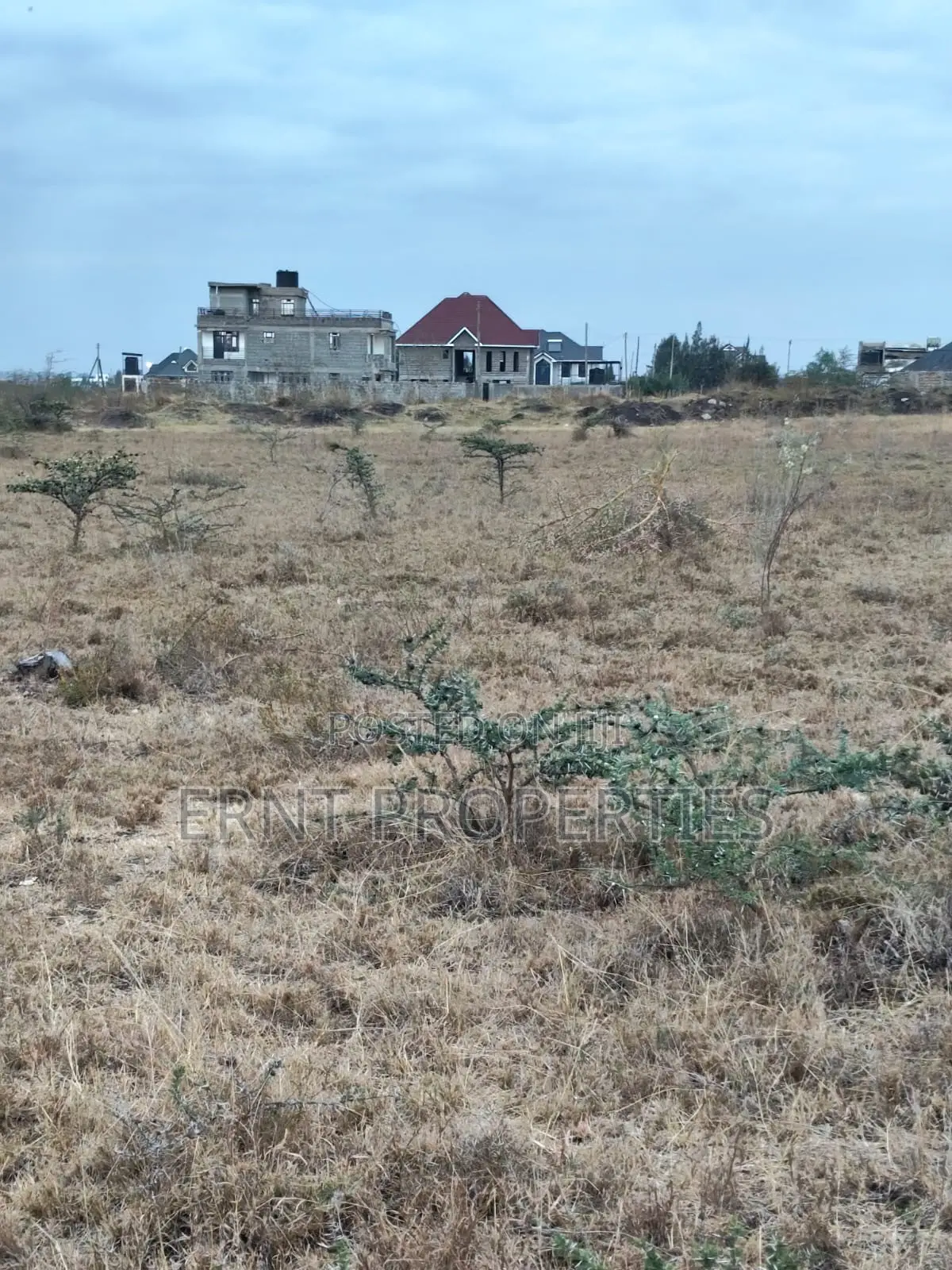 Distress Deal Alert - 2 Prime Acres in Kitengela