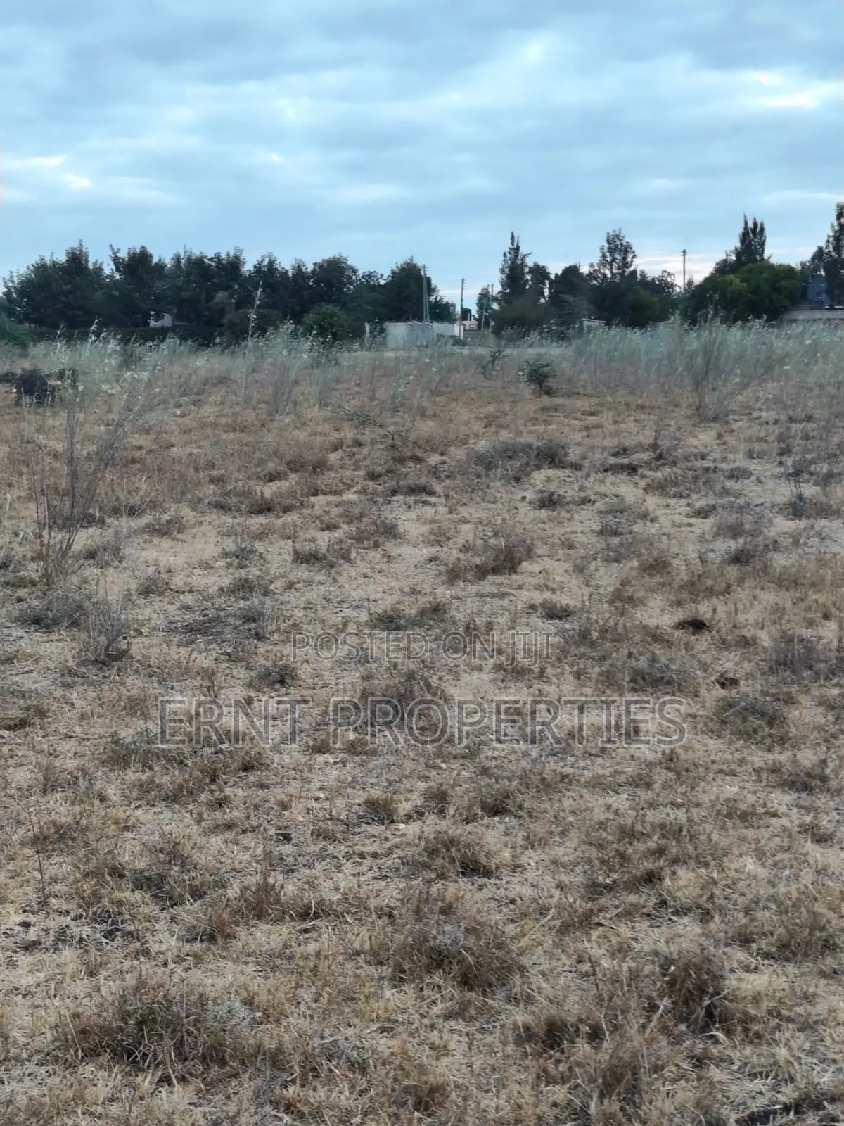 Distress Deal Alert - 2 Prime Acres in Kitengela