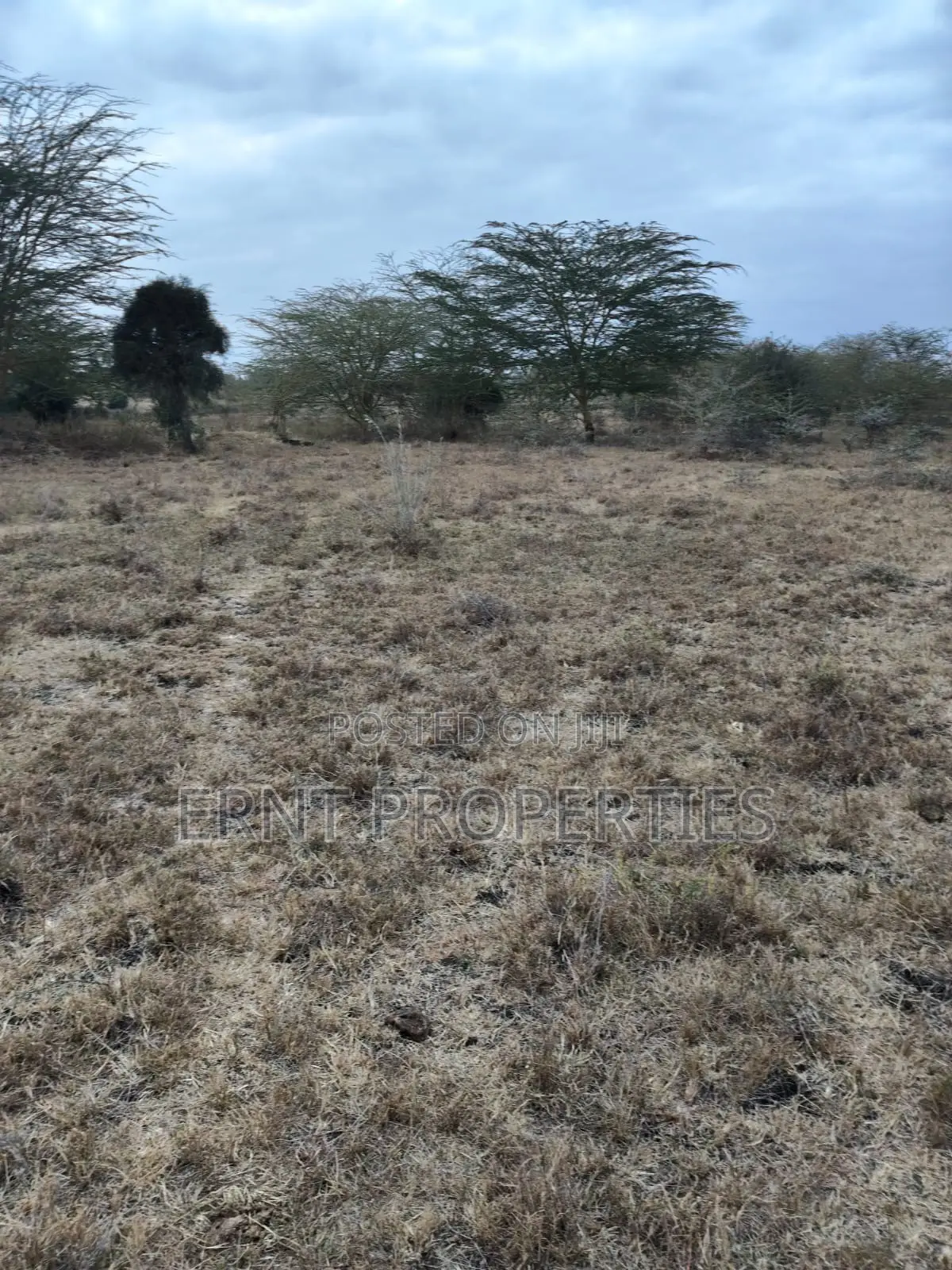 Distress Deal Alert - 2 Prime Acres in Kitengela