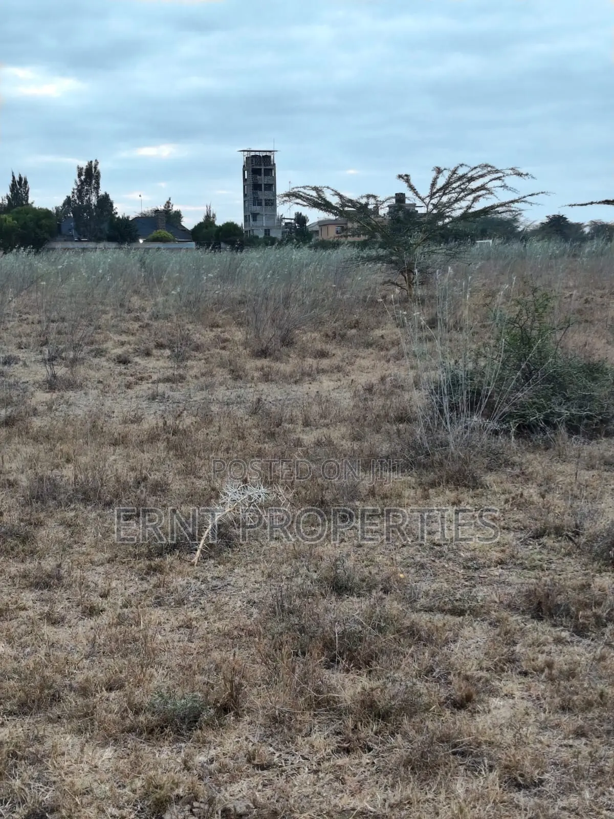 Distress Deal Alert - 2 Prime Acres in Kitengela