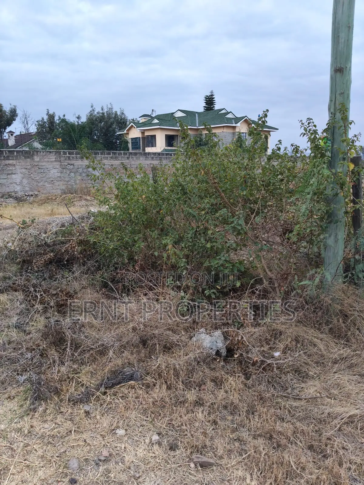 Distress Deal Alert - 2 Prime Acres in Kitengela