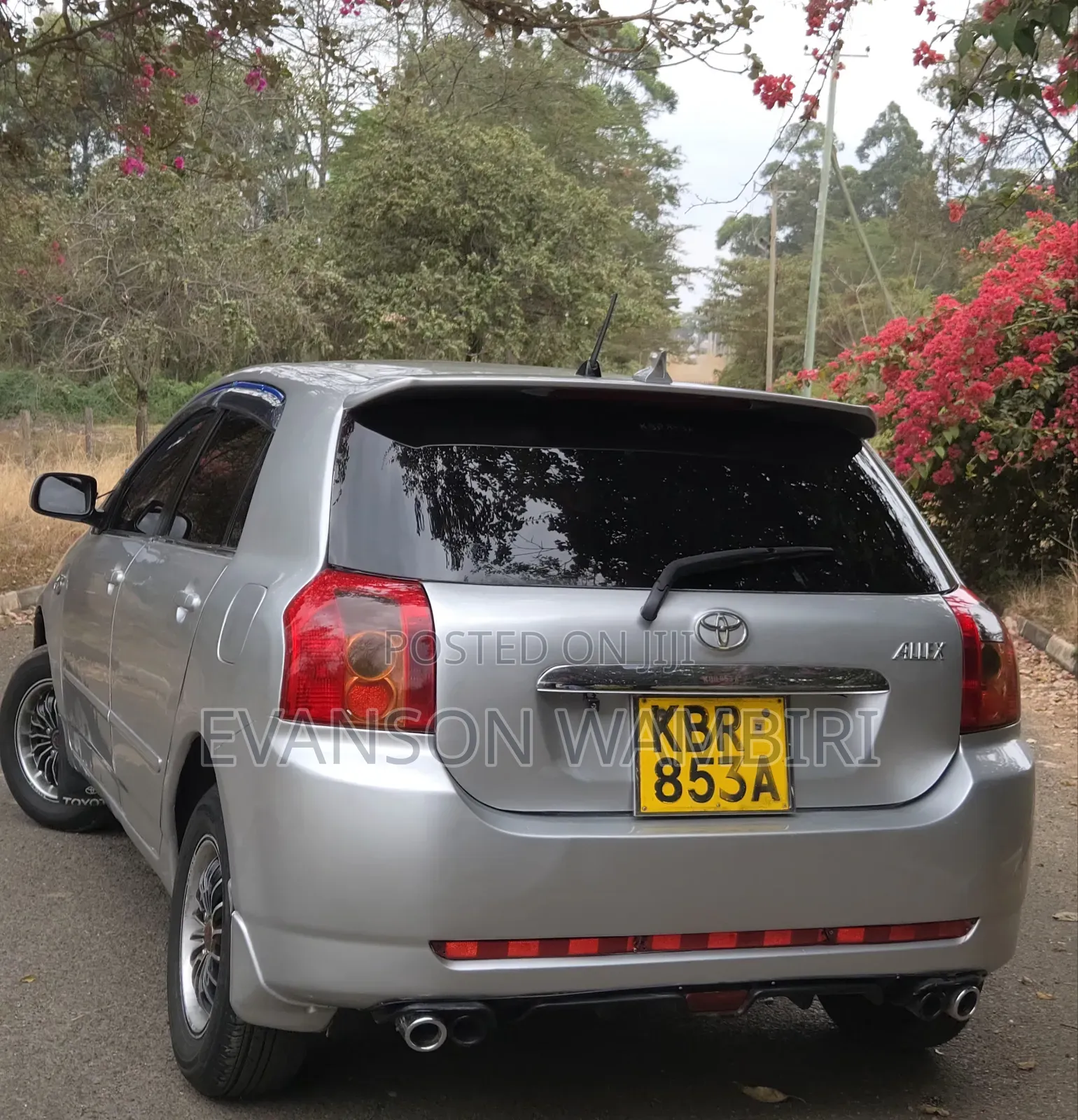 Toyota Allex 2005 Silver