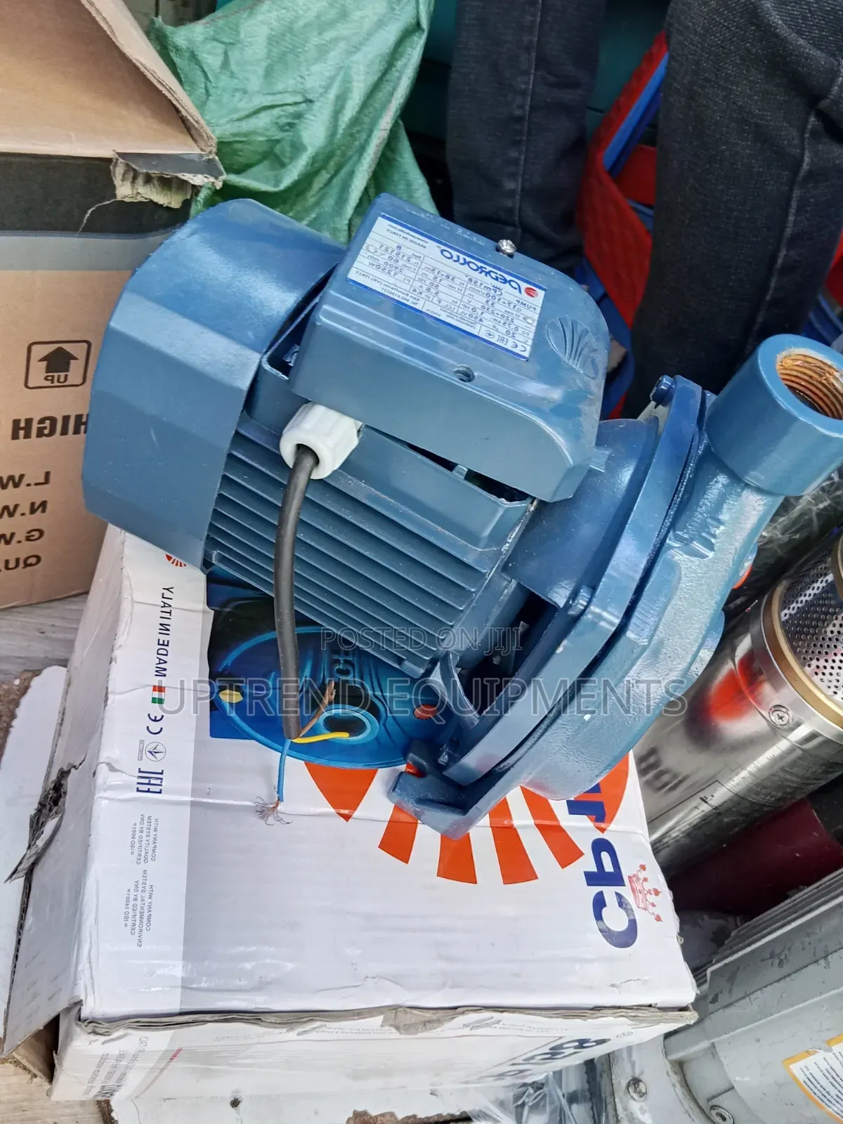 Electric Water Pump/ Pedrollo Water Pump