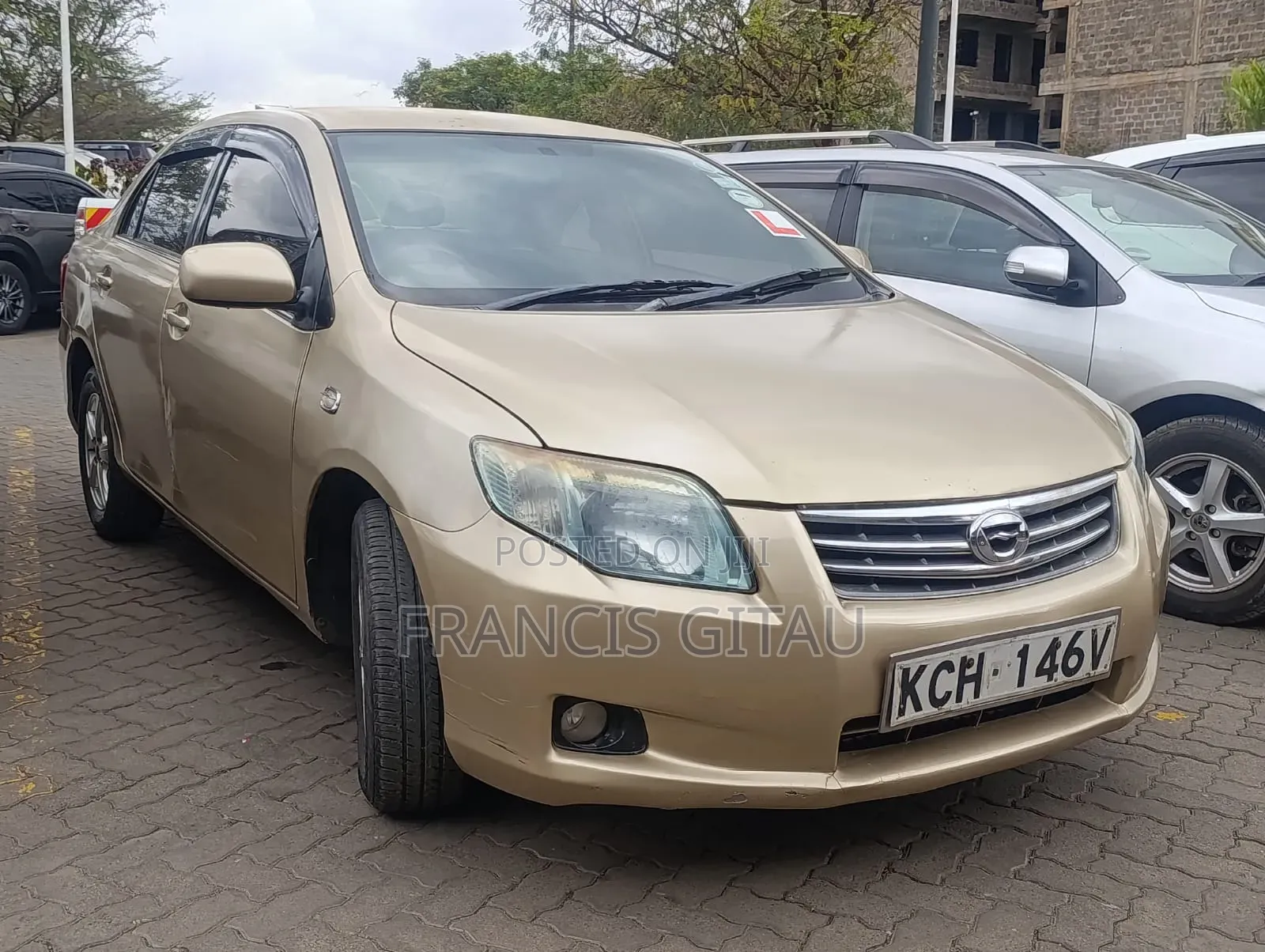 Toyota Axio 2009 Gold