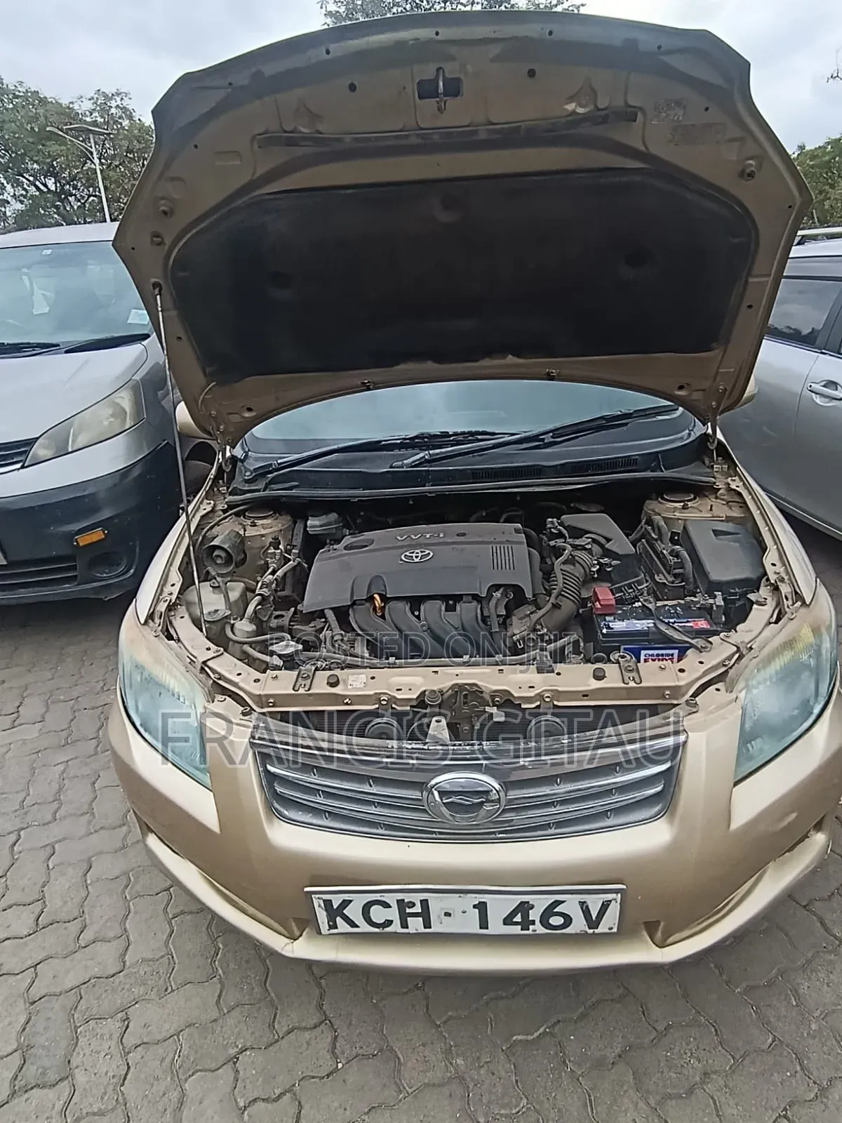 Toyota Axio 2009 Gold