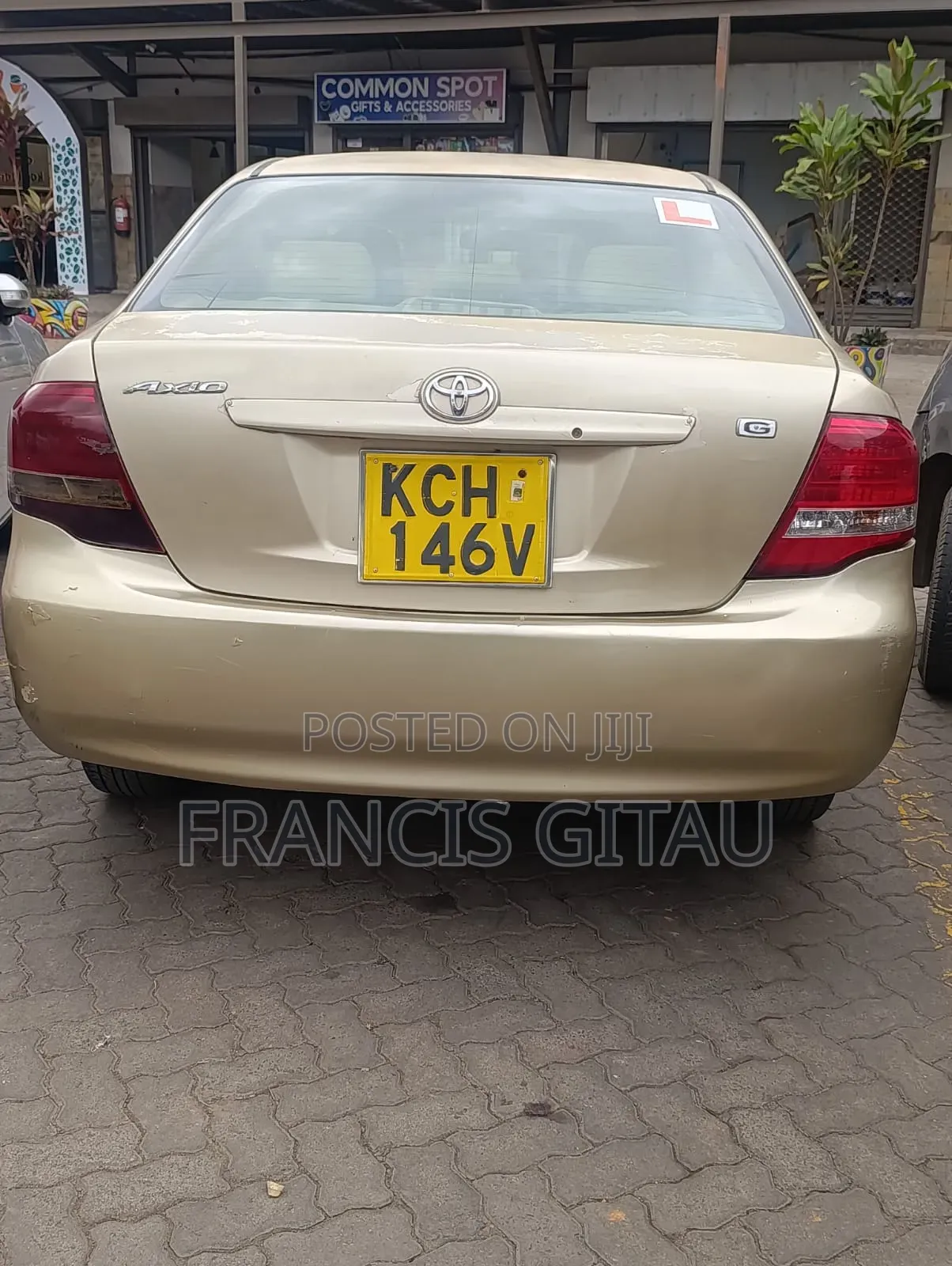 Toyota Axio 2009 Gold