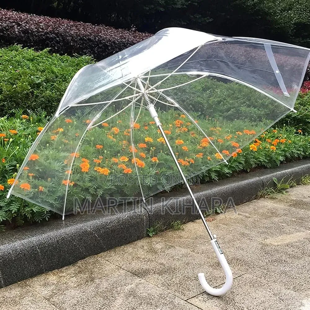 Transparent Umbrellas