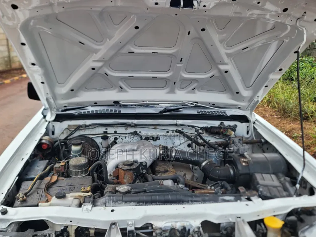 Nissan Hardbody 2012 White