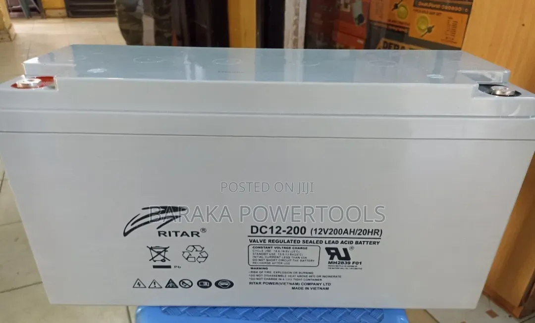 Ritar DC12-200 Battery