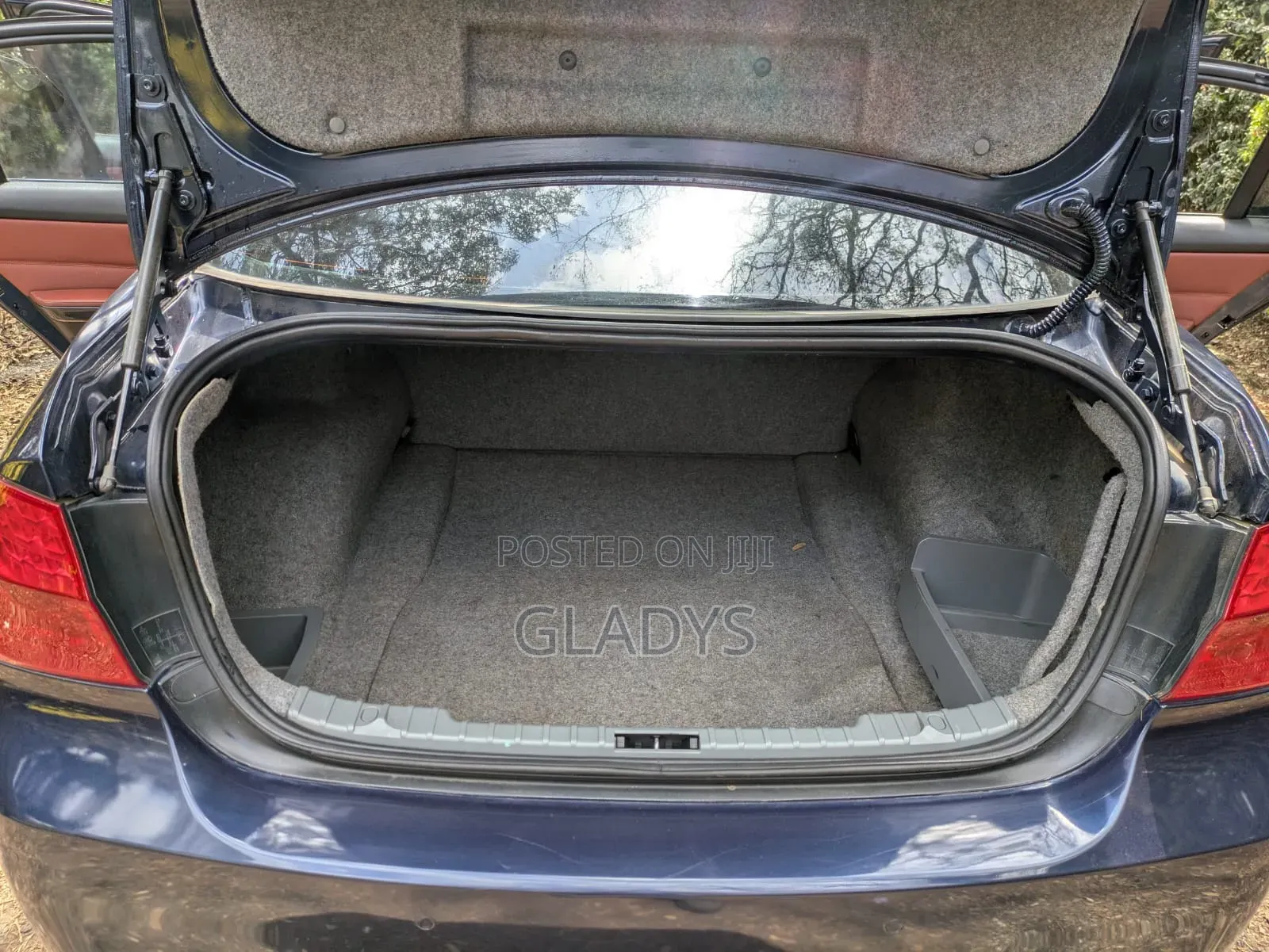 BMW 318i 2011 Blue