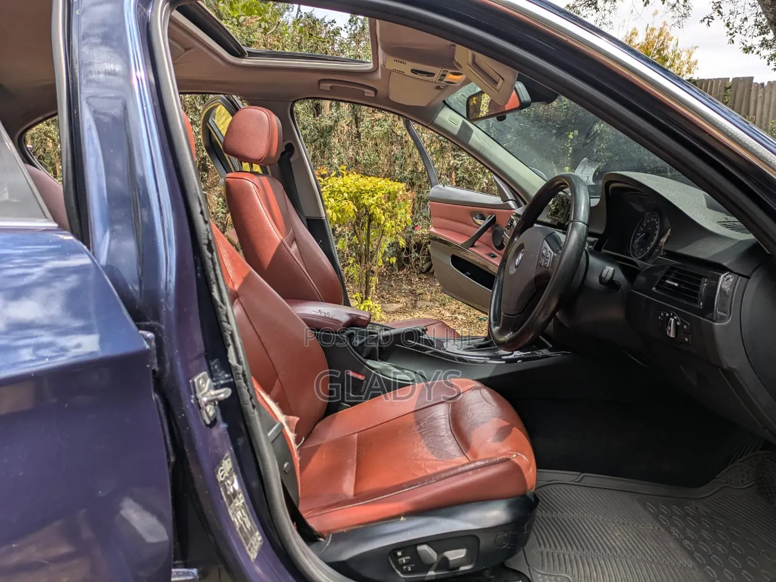 BMW 318i 2011 Blue