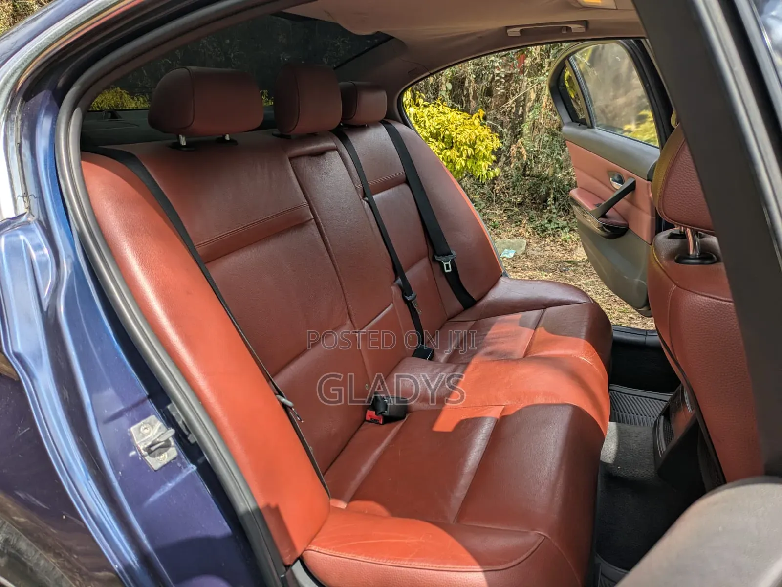 BMW 318i 2011 Blue