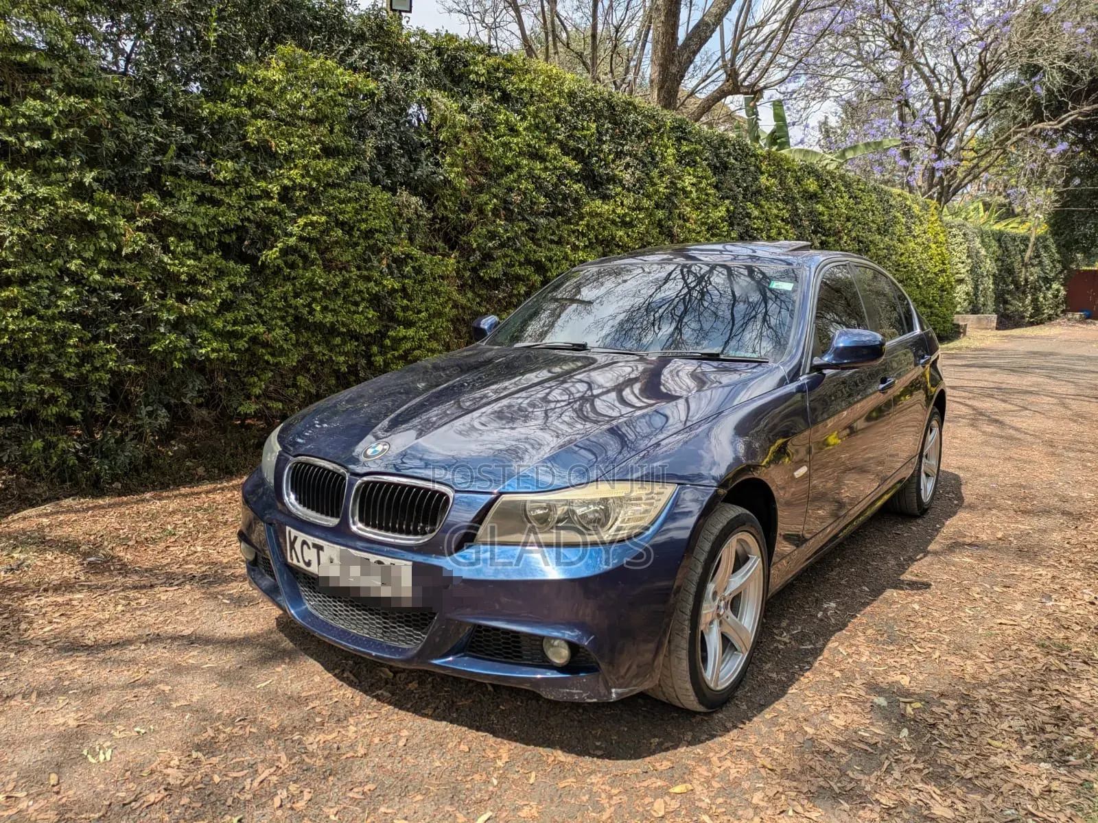 BMW 318i 2011 Blue