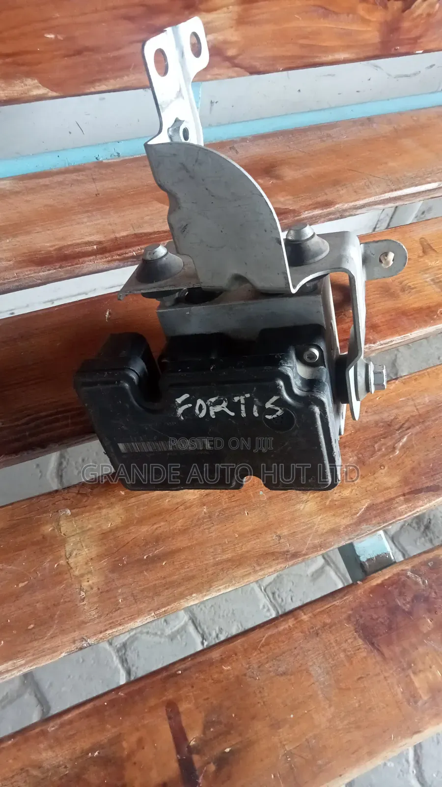 Fortis Abs Pump