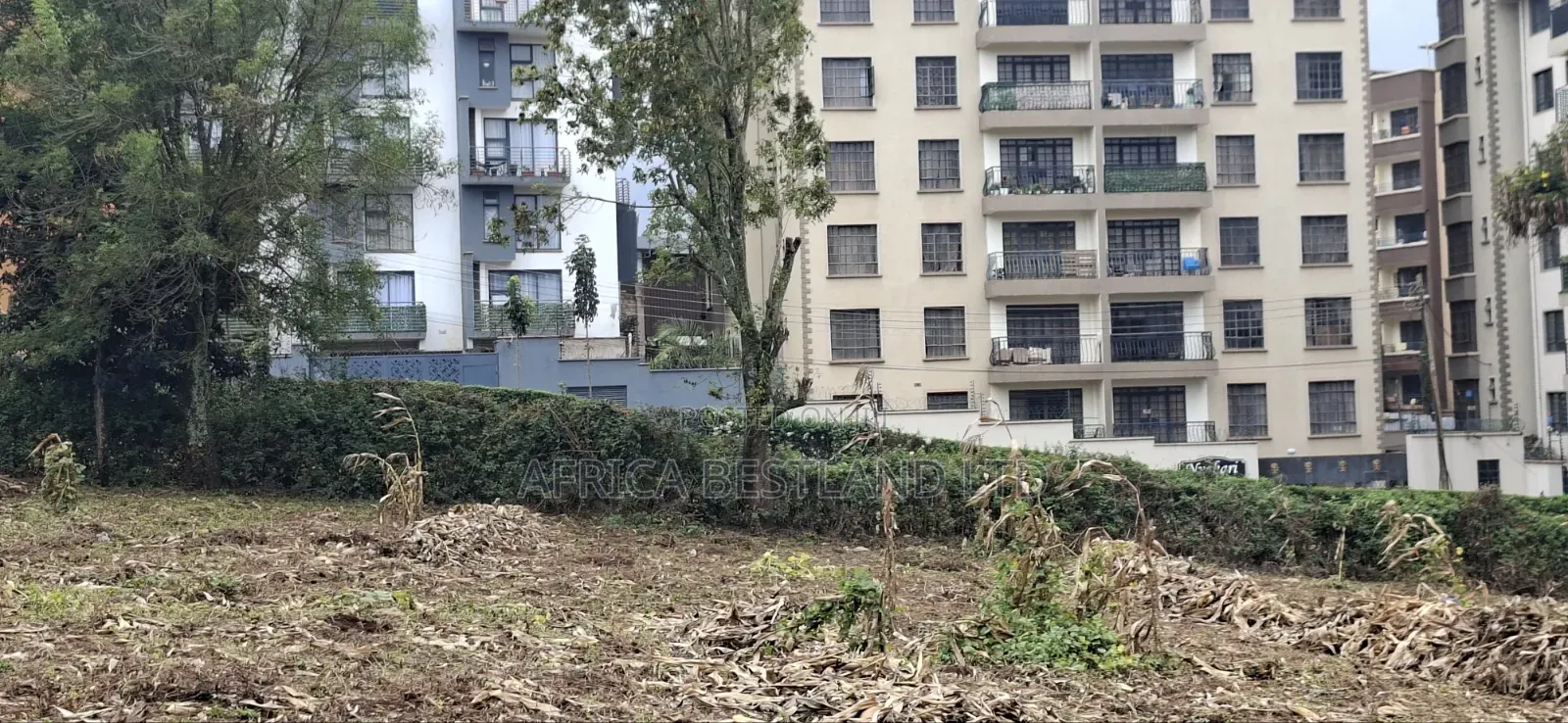 Kinoo Muthiga – 100×100 Plot for Sale