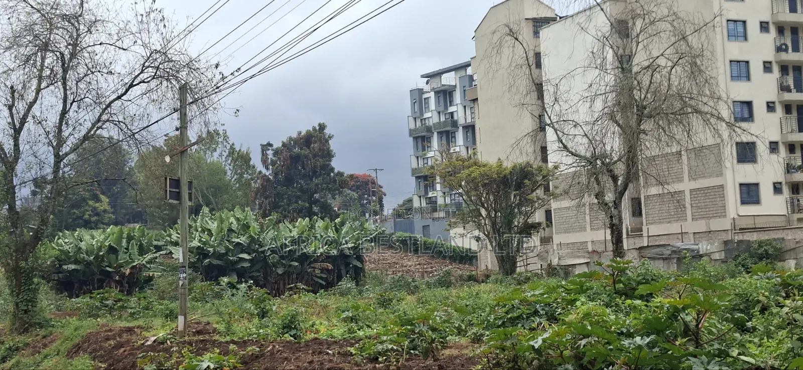 Kinoo Muthiga – 100×100 Plot for Sale