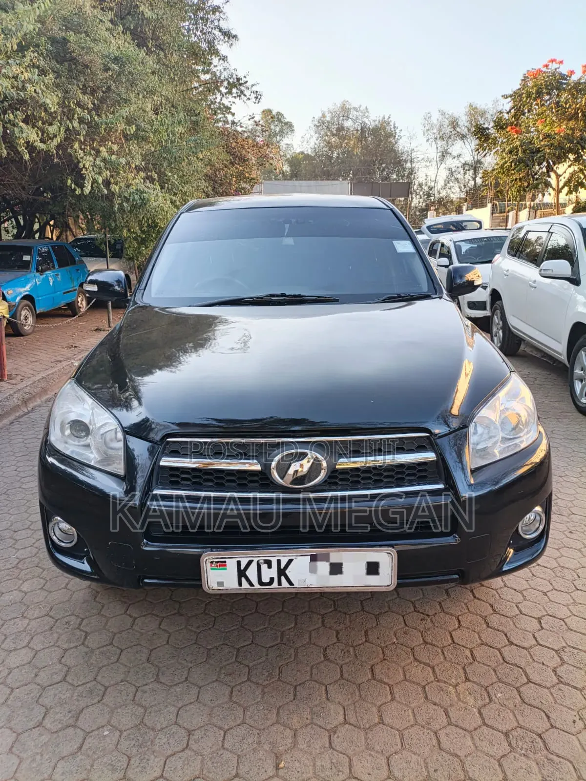 Toyota RAV4 2010 Matt Black