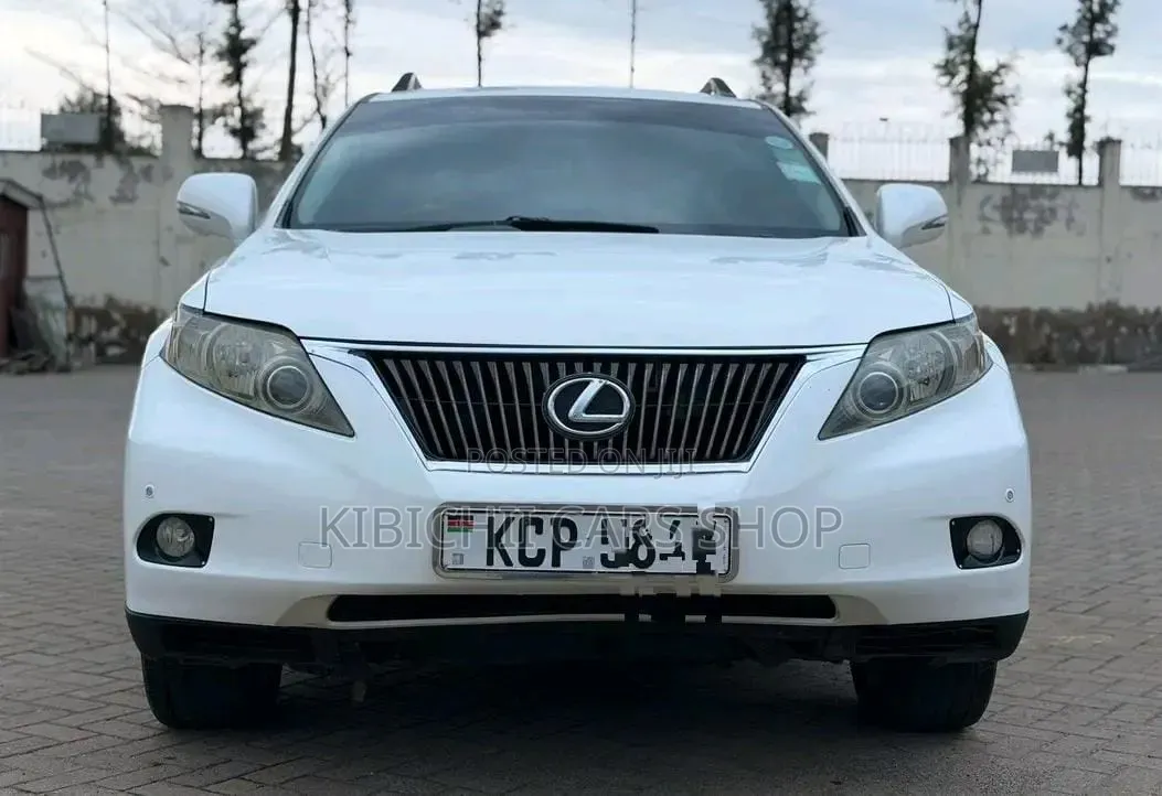 Lexus RX 2011 White