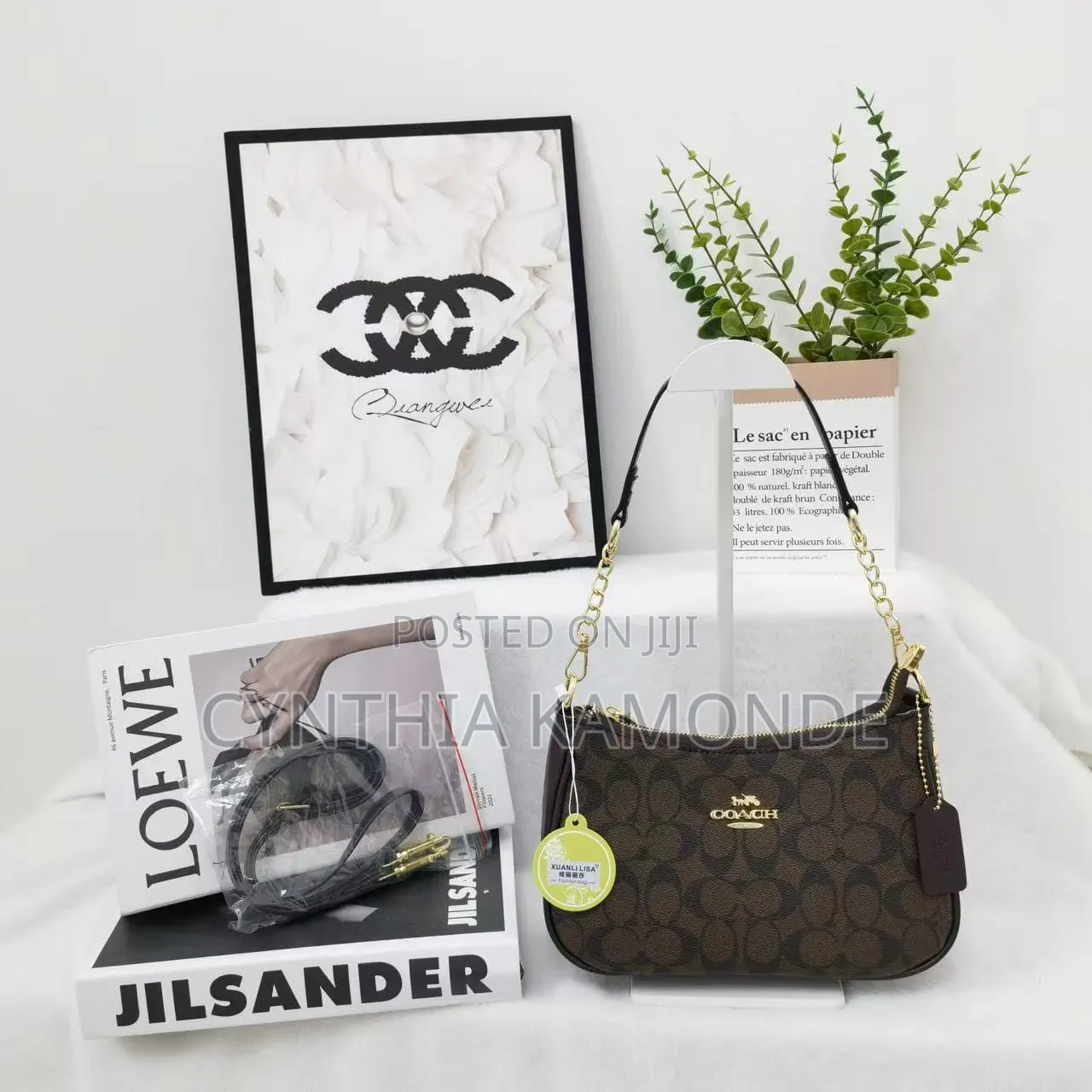 Fancy Coach Bag