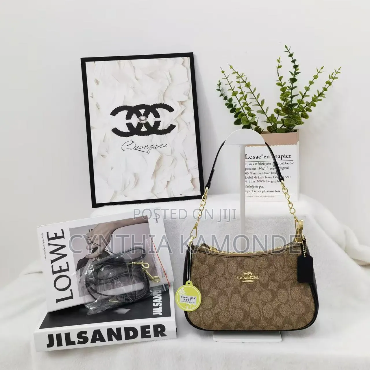 Fancy Coach Bag