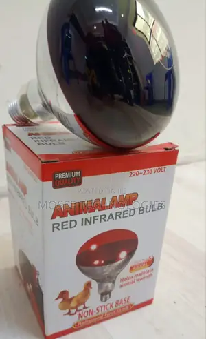 Chicken Brooder Heat Lamp Bulb