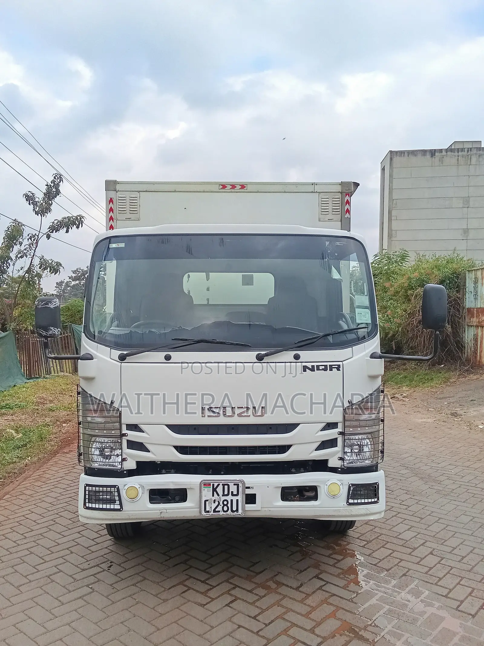 Isuzu NQR for Sale