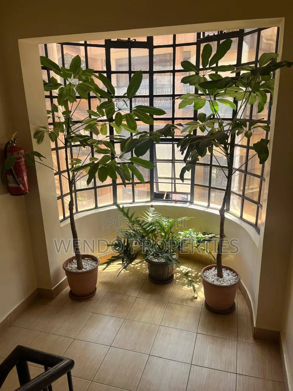 3bdrm Apartment in Raphta Road Area for rent