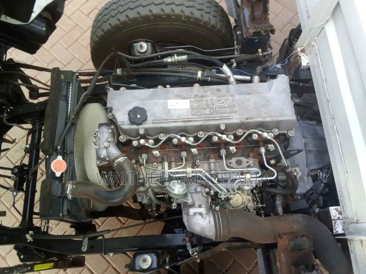 Isuzu NKR 2019 White for Sale