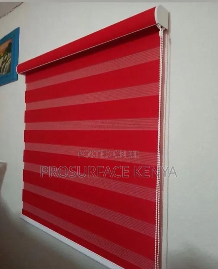 Zebra Roller Blinds | Custom Window Blinds