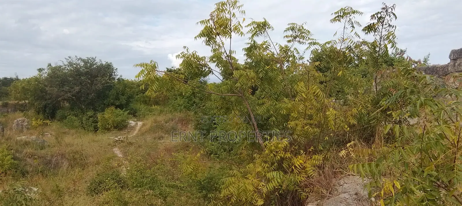 4.3-Acre Beachfront Property for Sale | Tiwi, Kwale