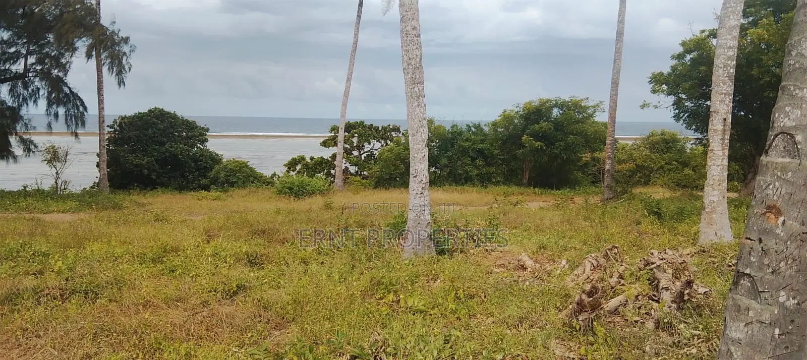 4.3-Acre Beachfront Property for Sale | Tiwi, Kwale