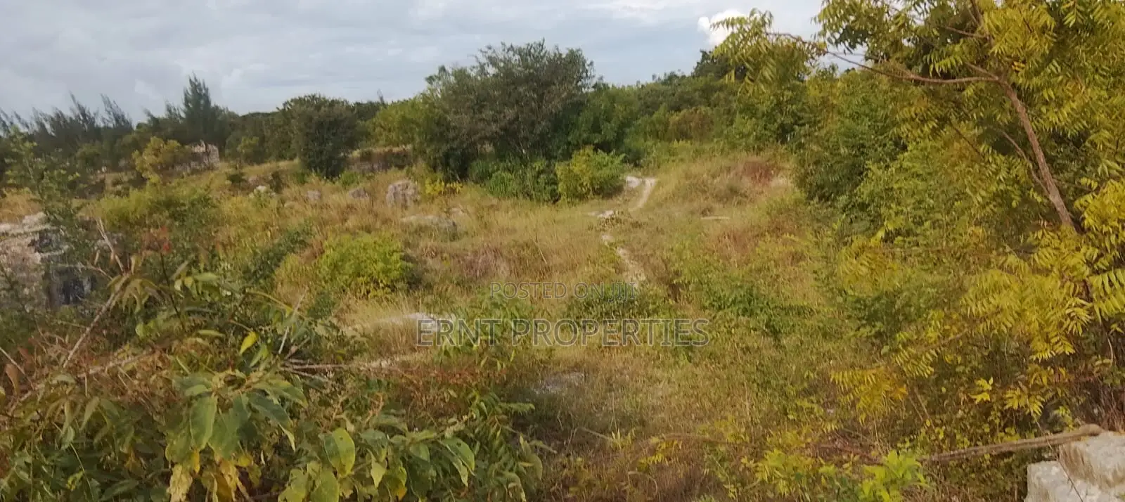 4.3-Acre Beachfront Property for Sale | Tiwi, Kwale