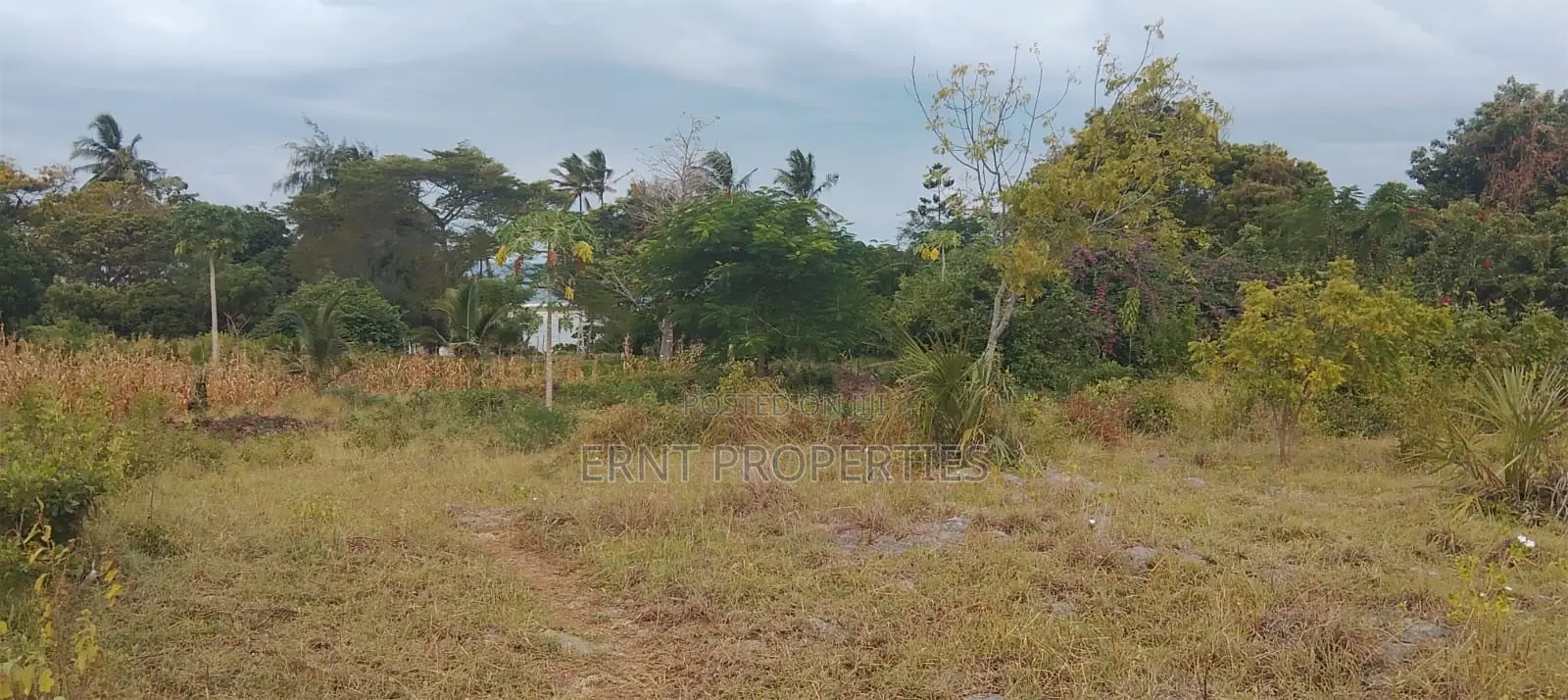 4.3-Acre Beachfront Property for Sale | Tiwi, Kwale