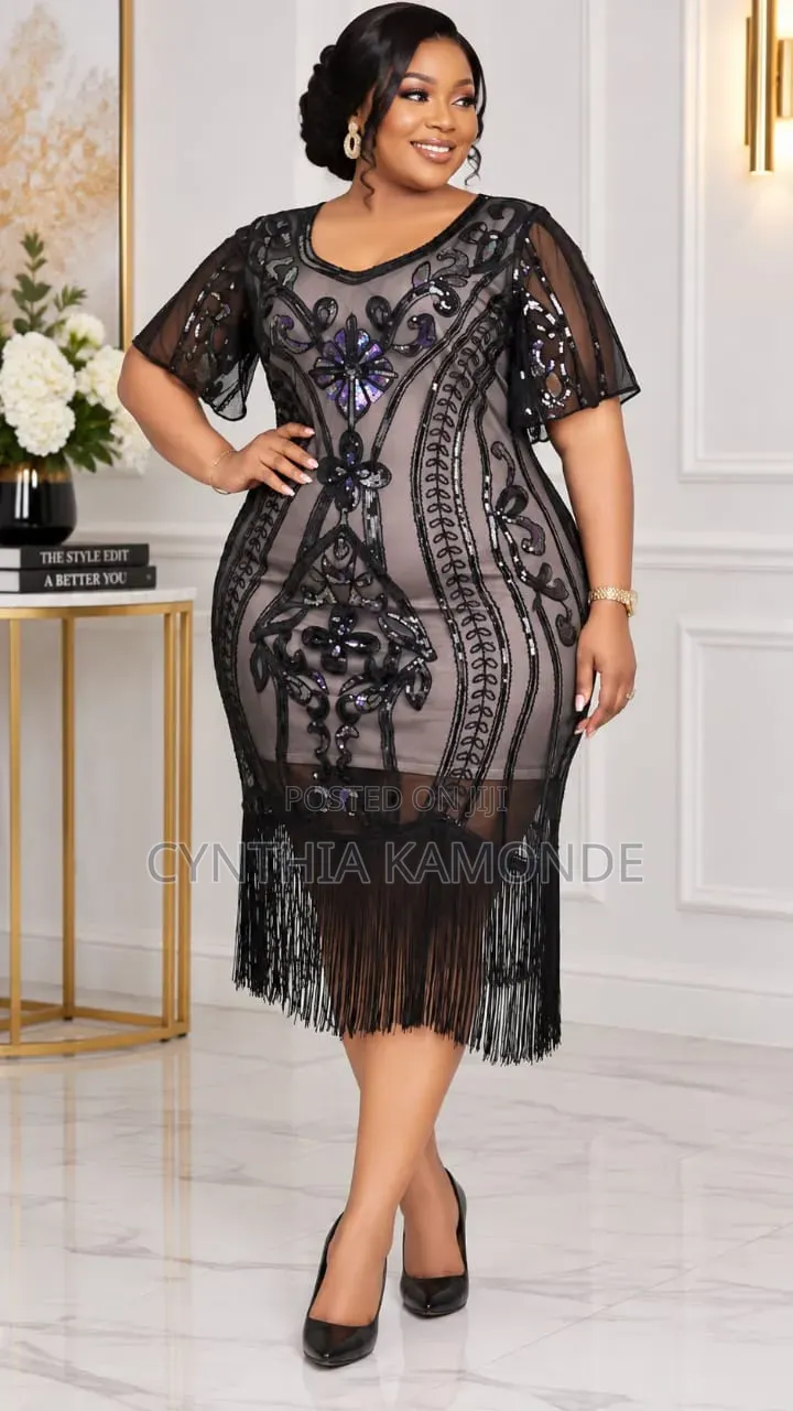 Elegant Lace Dress