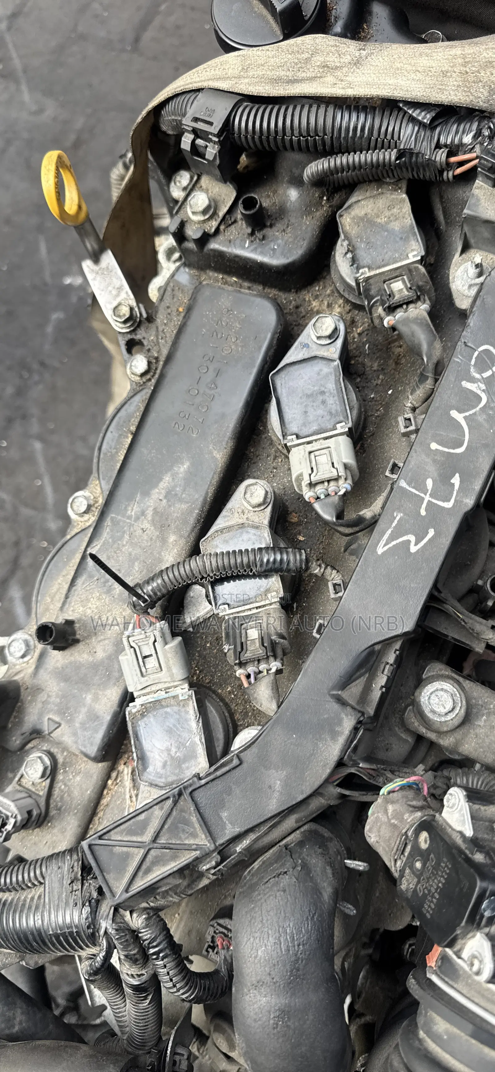 Engine Coil Passo