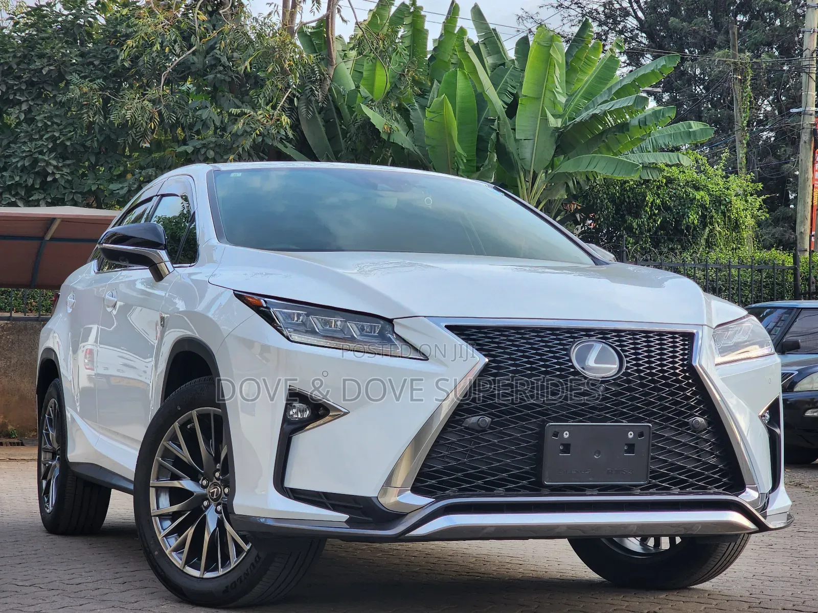 Lexus RX 300 4WD 2019 White