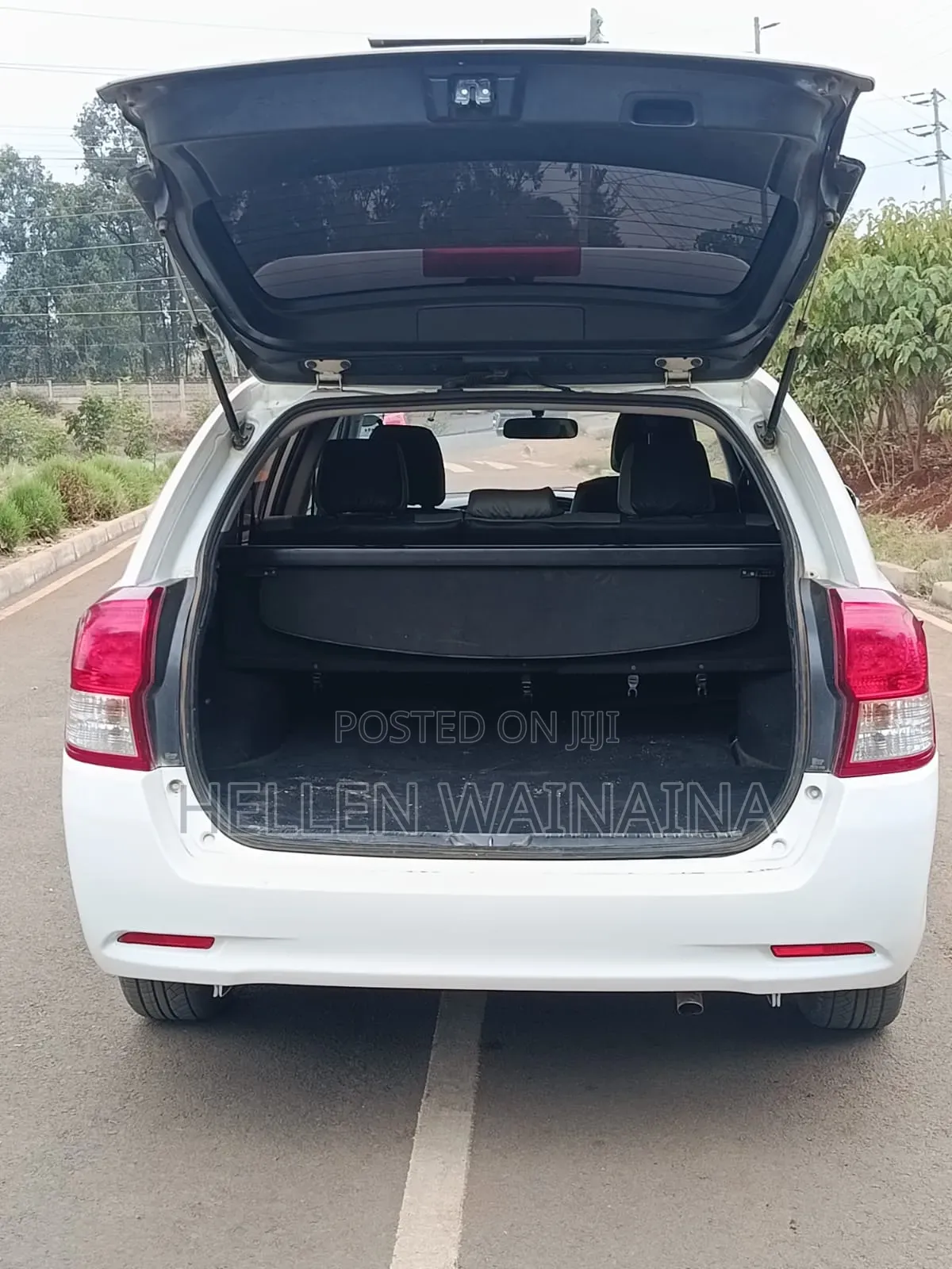 Toyota Corolla Fielder 2013 White