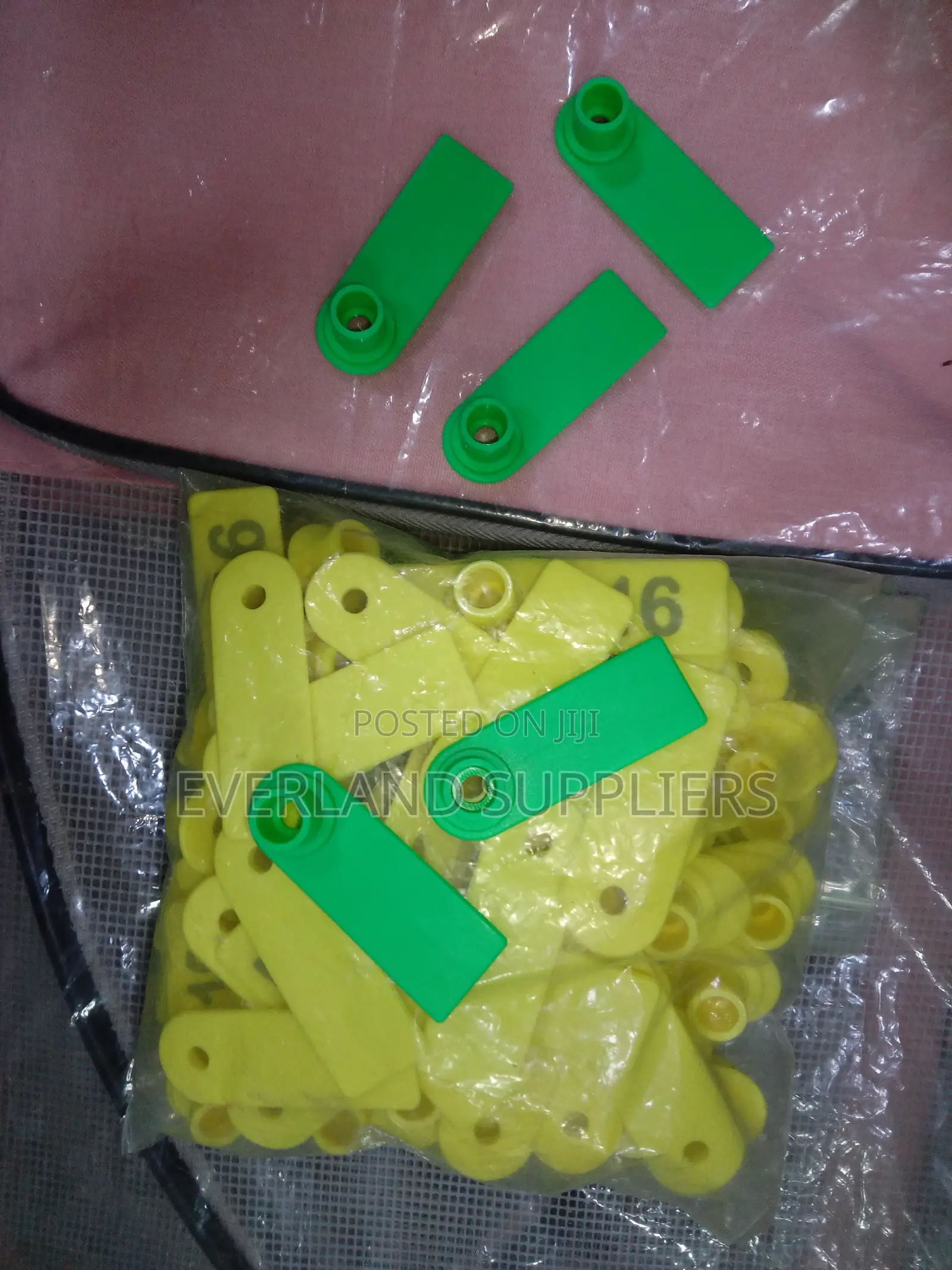 Ear Tags - Large-Print Ear Tags (A Pack)