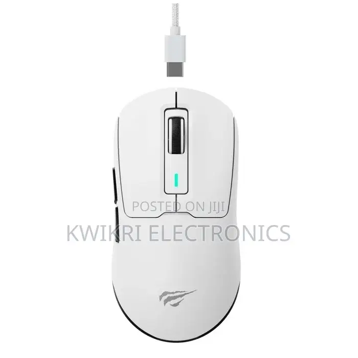 Havit MS966WB Quad-Mode Gaming Mouse(Rechargeable)