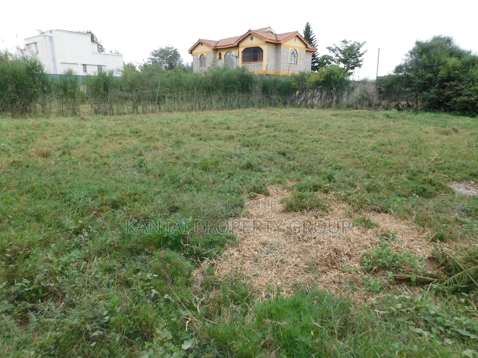 Milimani Residential Plots