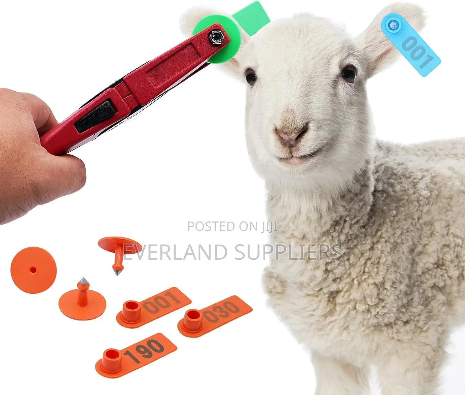 Goat Ear Tags - A Packet 100pcs