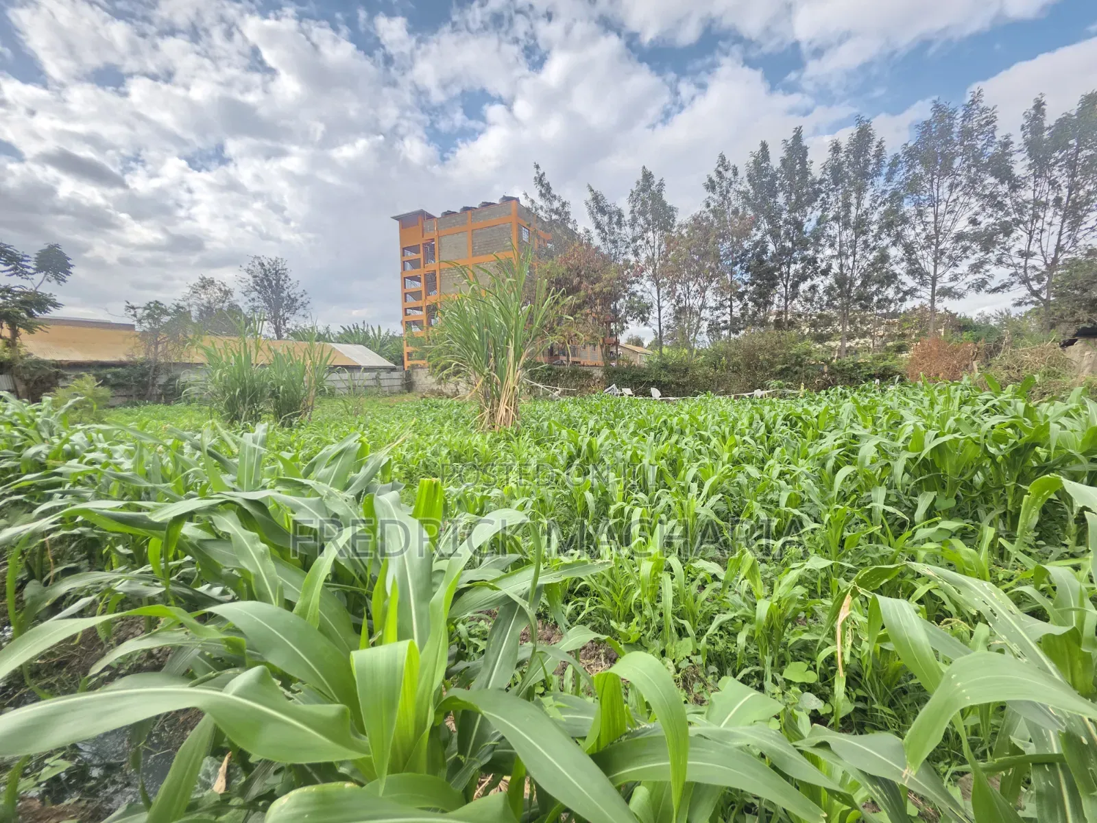 Quarter Acre Residential Plot for Sale at Juja