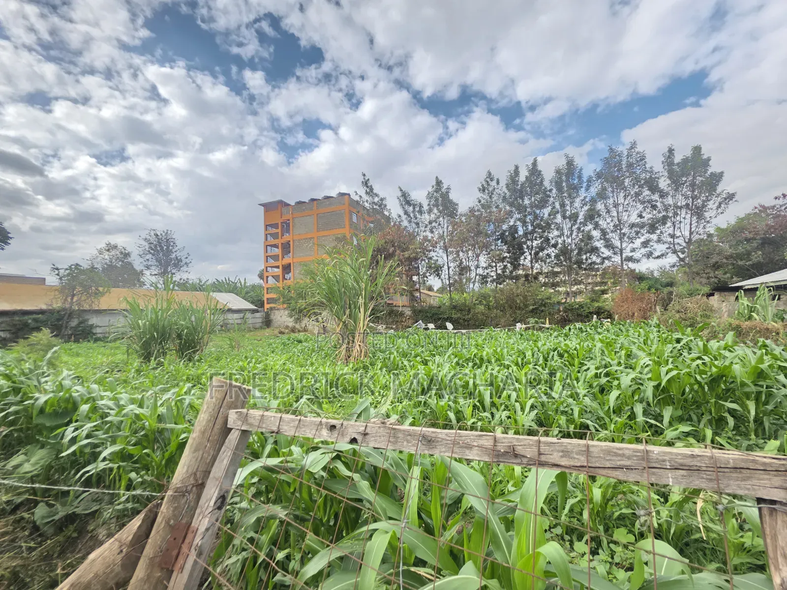 Quarter Acre Residential Plot for Sale at Juja