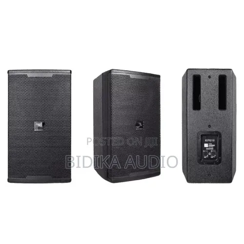 12′′ Premier Wooden Speaker