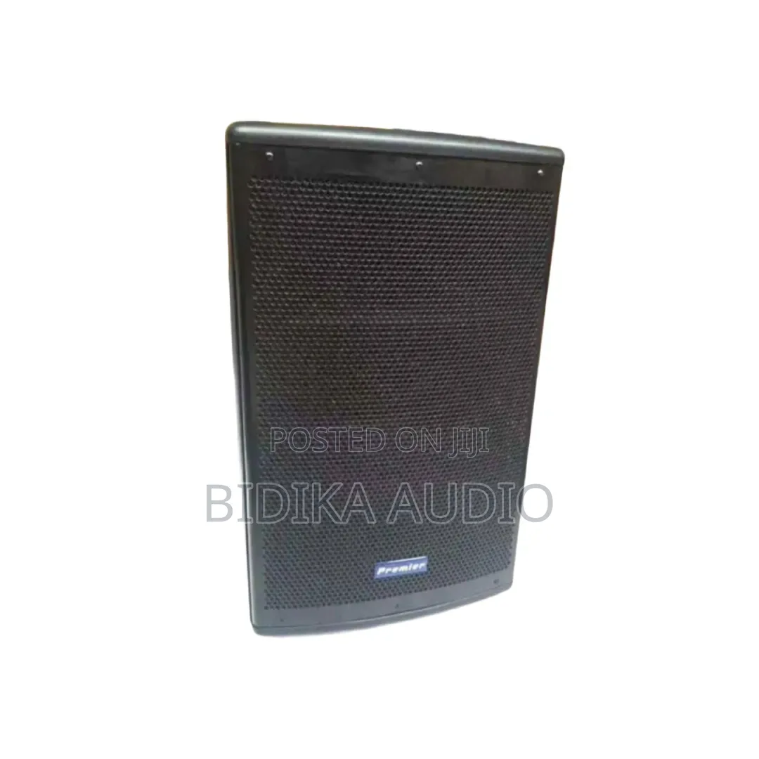 15-Inch Premier PM1506 Speaker – Heavy-Duty Sound With Deep Bass