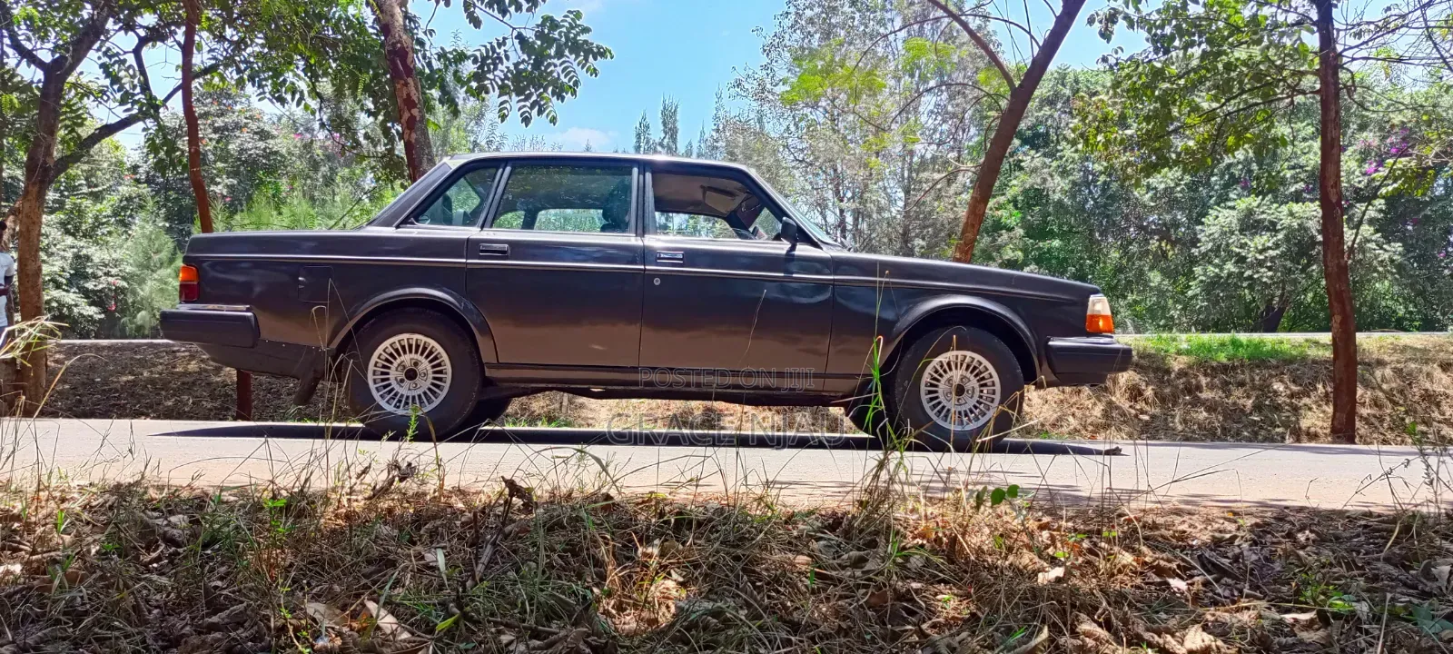 Volvo 244 1983