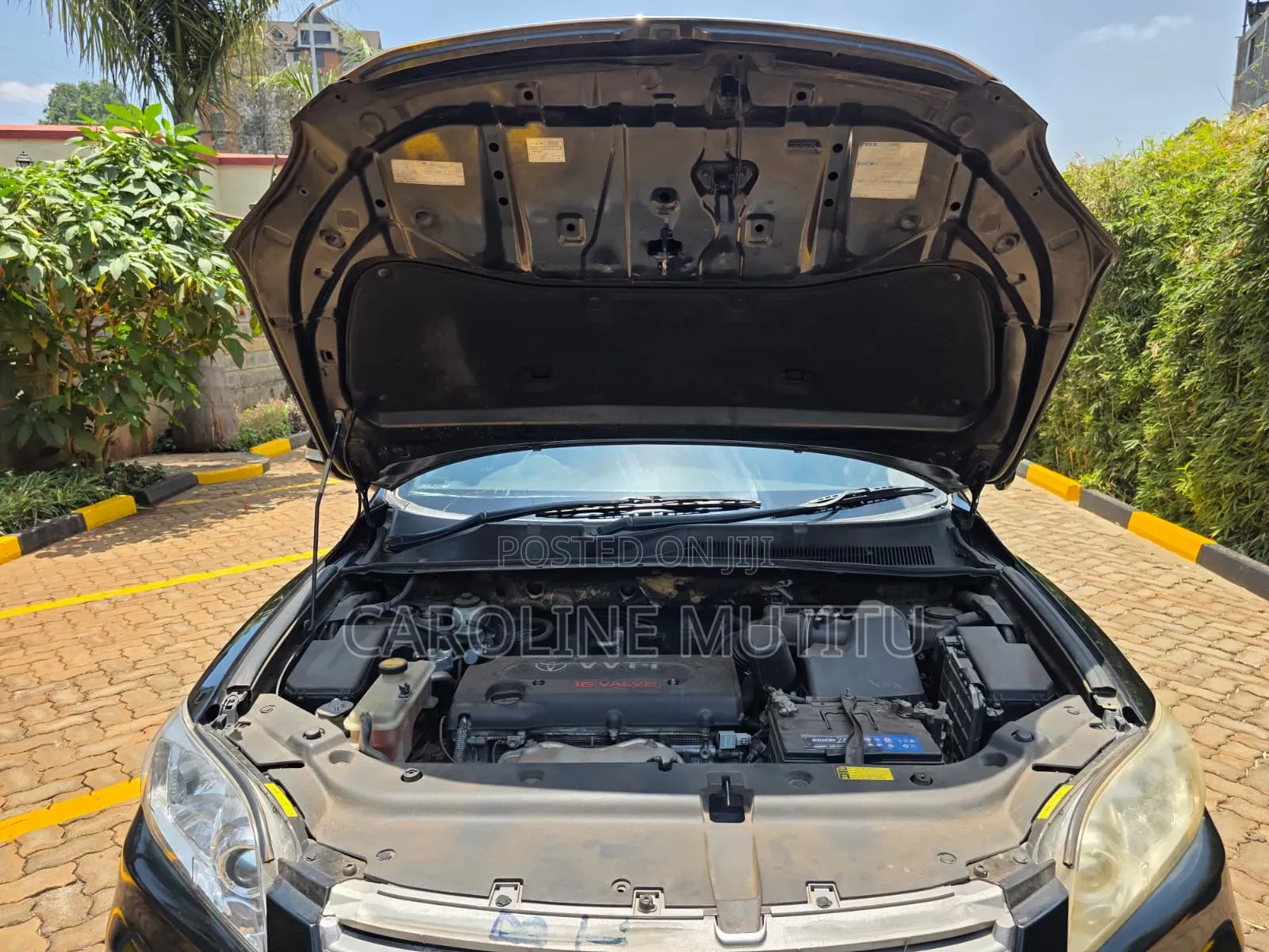 Toyota Vanguard 2010 Black