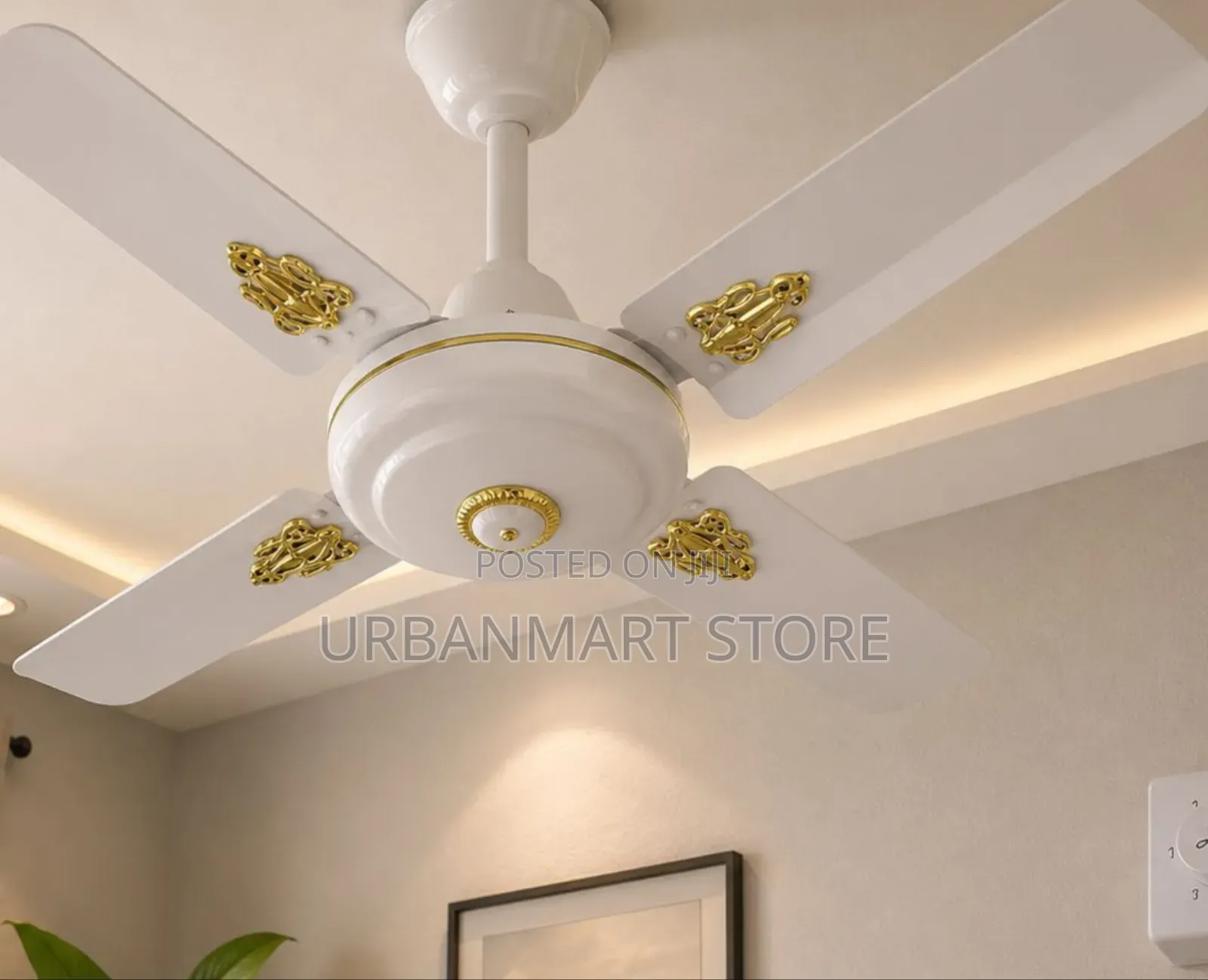 Starworth 24 Inch Ceiling Fan White