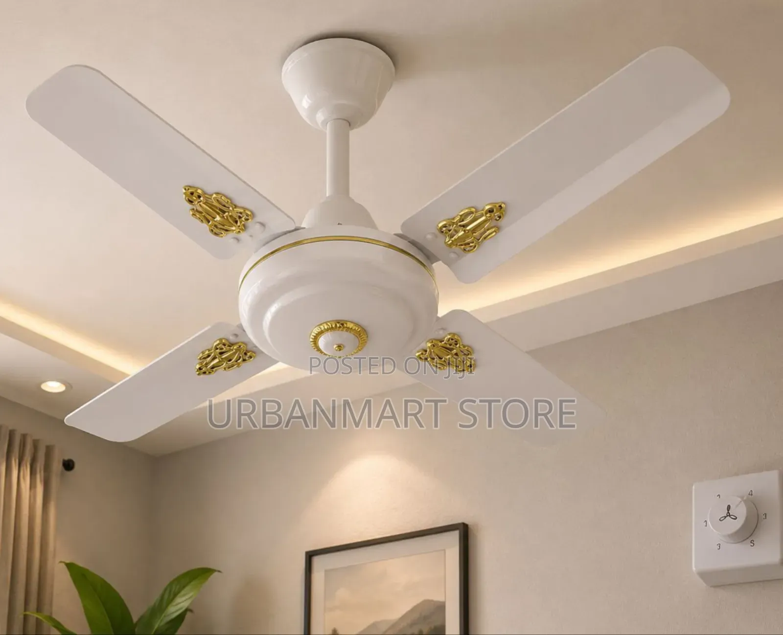 24 Inch Starworth Ceiling Fan White