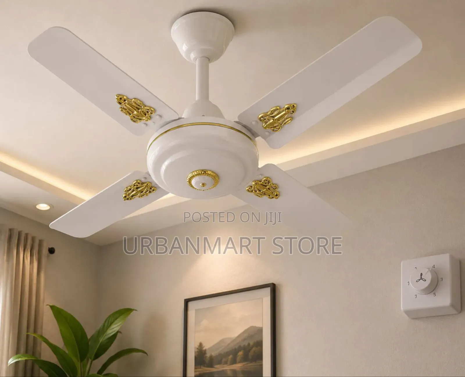 24 Inch Starworth Ceiling Fan White